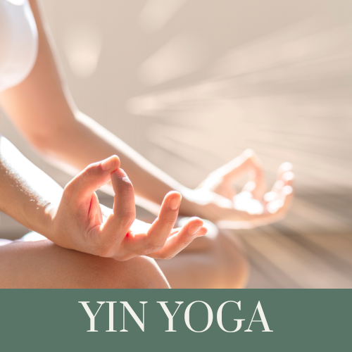 Yin Yoga Pop Up Workshops in December